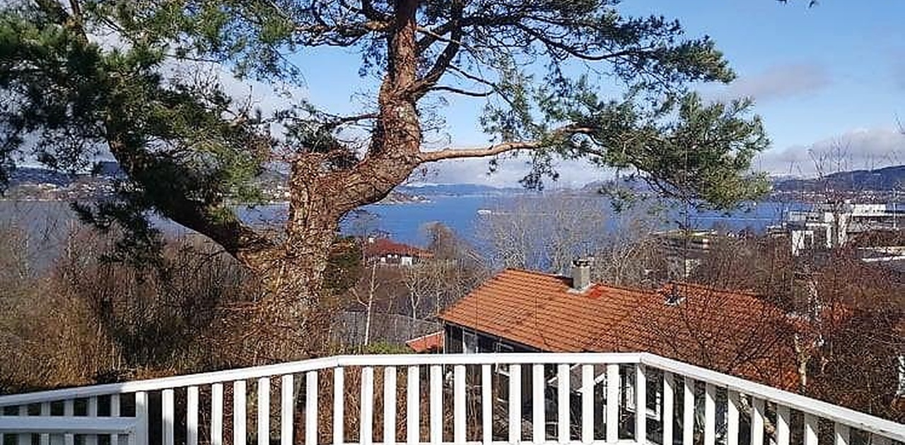 Flott utsikt over byfjorden