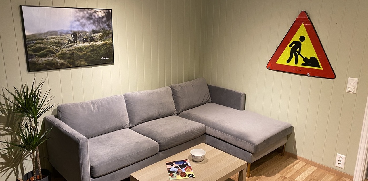 Velkommen til Øvre Møllenberg Gate 41 A! Leiligheten er møblert med denne sofaen nå.