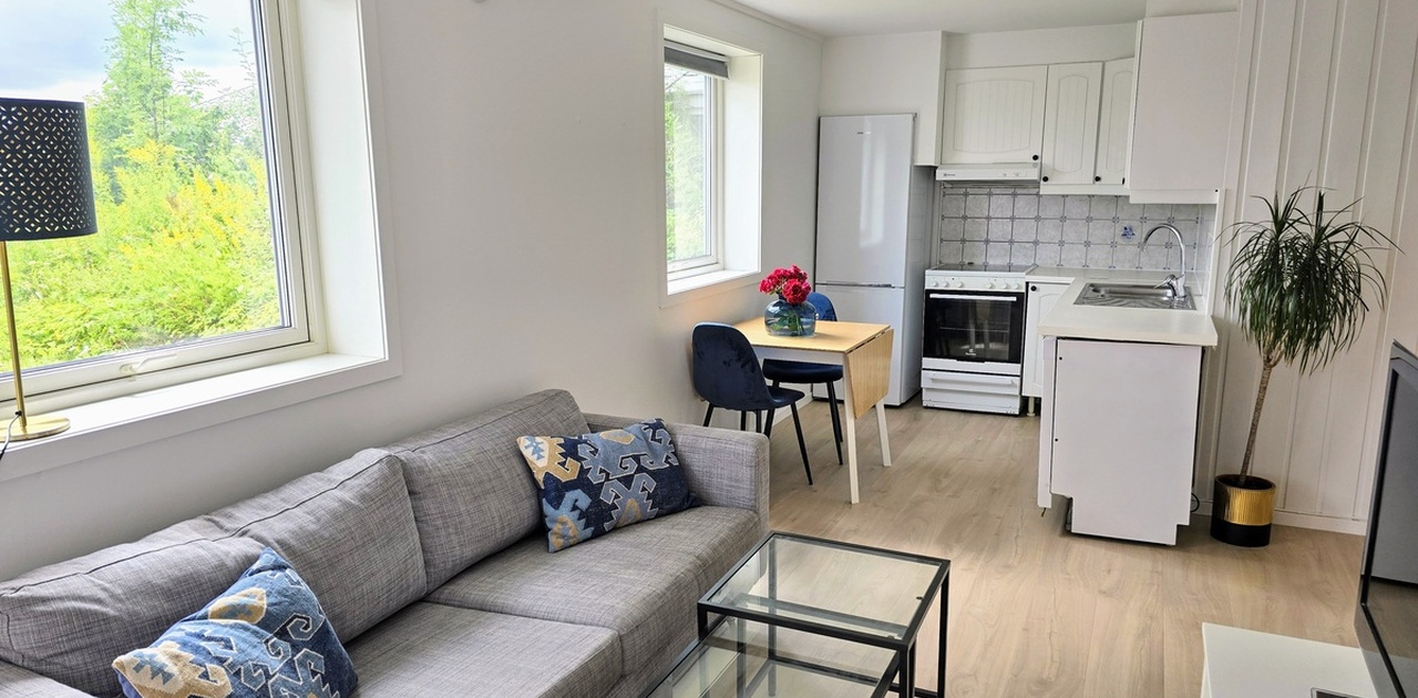 Forslag romløsning sofa plassering
