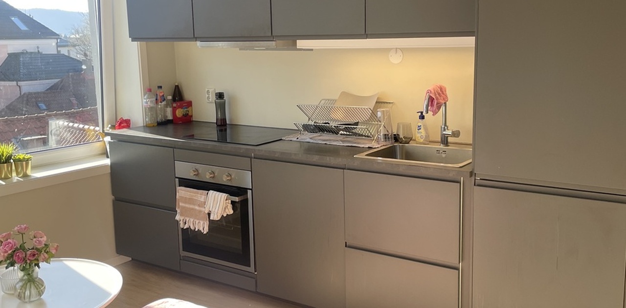 Fint og koselig fellesareal med moderne kjøkken + gulv
