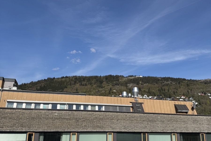 Rom i bofellesskap