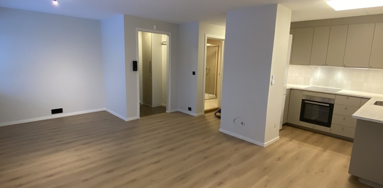 Stue/kjøkken