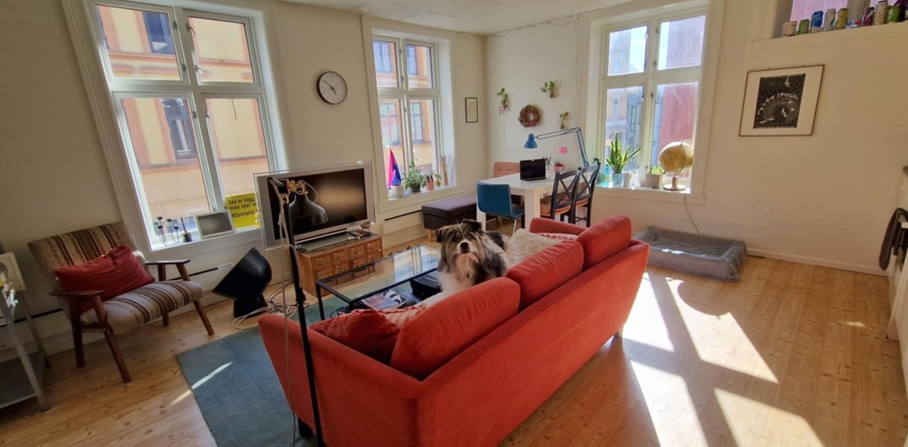 Living room today (04.05.25)