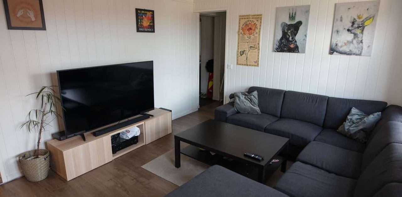 Stue - retning gangen, to soverom og bad med oppvaskmaskin og tørketrommel.